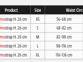 Custom Fitted Donjoy DJO Immostrap Back Brace w/ Rigid Stays (82-0229)